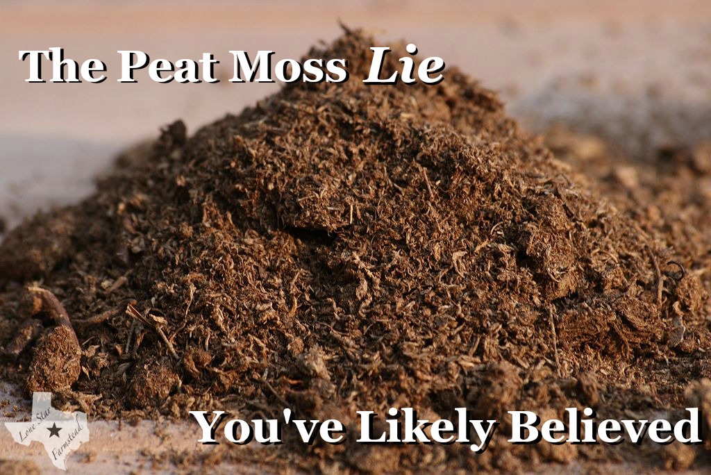 Why Use Peat Moss? - Ted Lare - Design & Build